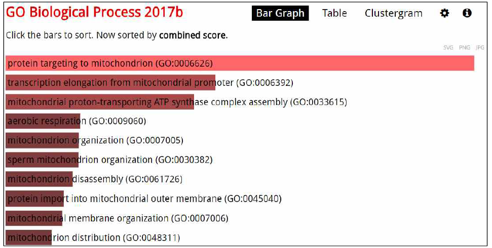 EnrichR의 분석결과; GO Biological Process의 bar graph