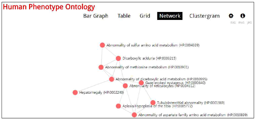 EnrichR의 분석결과; Human Phenotype Ontology의 network 관계도