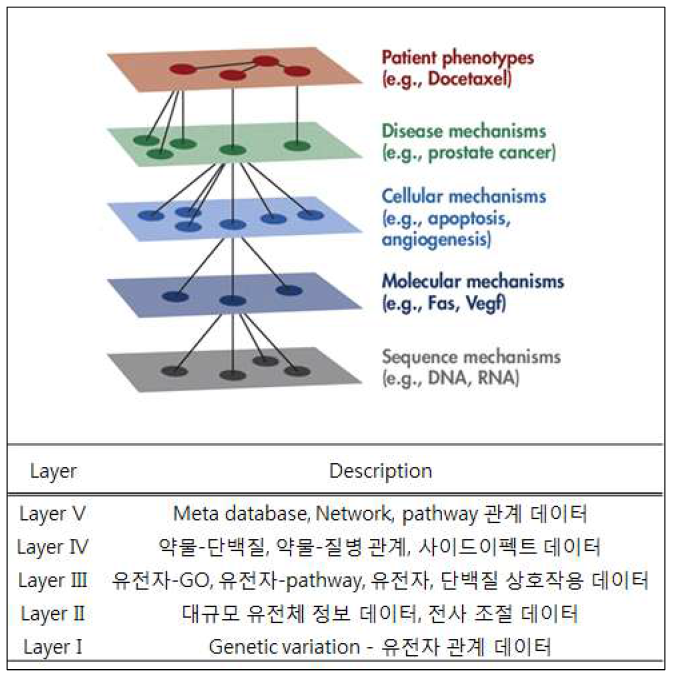 다양한 생물학적 데이터들 간의 관계와 관계를 구분하기 위한 Layer