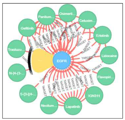 EGFR 유전자를 target으로 하는 다양한 chemical 검색 결과 그래프 (파란색: 유전자, 초록색: chemical)