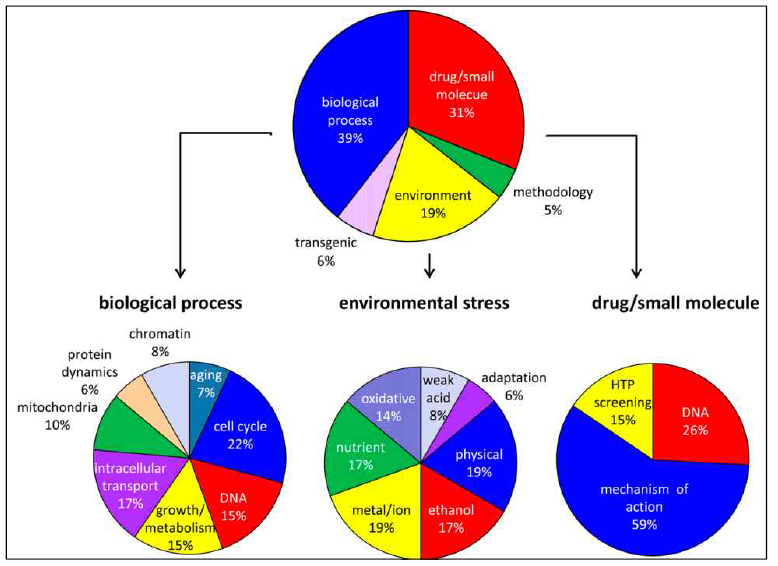 S.cerevisiae deletion project로 밝힌 genomic function