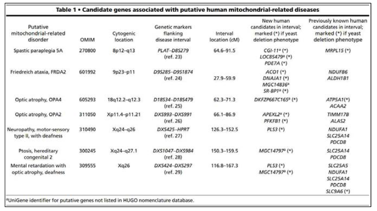 인간 미토콘드리아 유래 질병과 관련된 S.cerevisiae의 후보 유전자