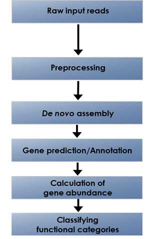 Assembly-based gene profiling 파이프라인의 모듈 흐름도