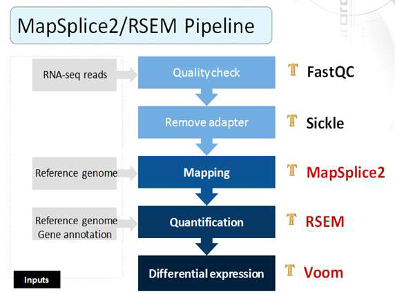 RNA-Seq 프로세싱 파이프라인 2 (MapSplice-RSEM)