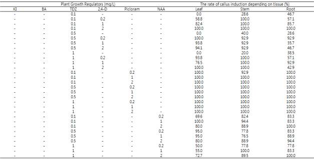 TDZ + 2,4-D, picloram, NAA 조합 배지에서의 각 조직별 캘러스 유도율 조사표
