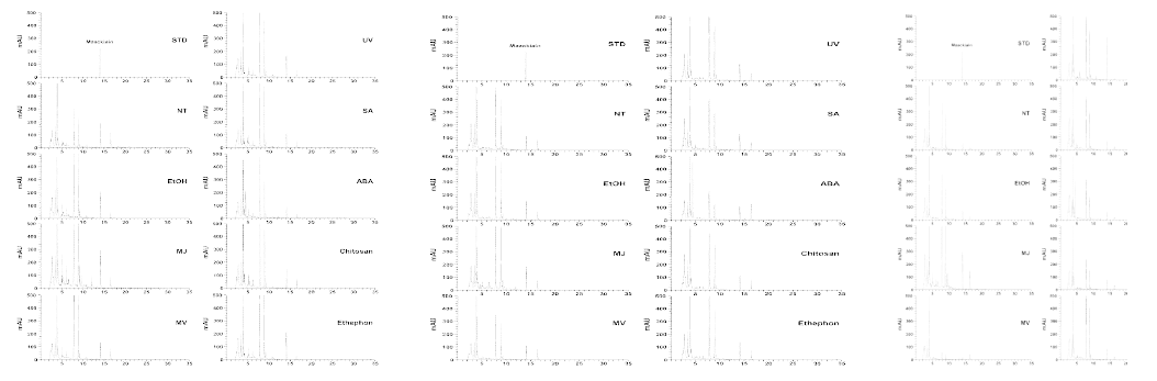 유도제 처리에 의한 마키아인산 함량 증가 분석 (캘러스 S1-2-1(좌), L5-2-1(중앙), L5-3-1(우))