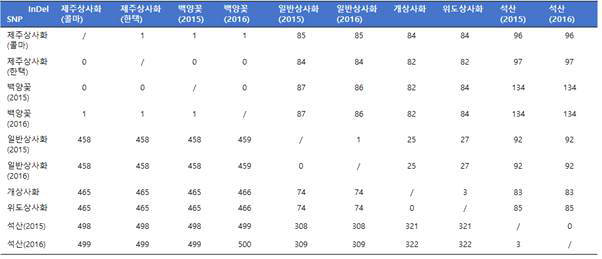 제주상사화 및 근연종의 엽록체 서열 내 존재하는 변이지역 정보