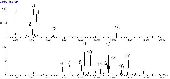 한택곰취 지상부 (위)와 지하부 (아래)의 UHPLC-QTOF-MS chromatogram