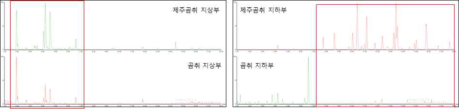 곰취와 한택곰취 지상부 및 지하부의 이차대사체 분포 비교