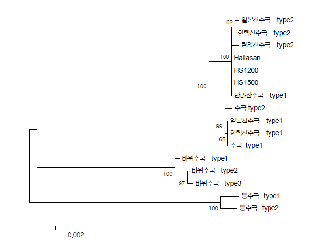 45S rDNA 서열을 기반으로 한 한택산수국 및 근연종 8종간 유연관계