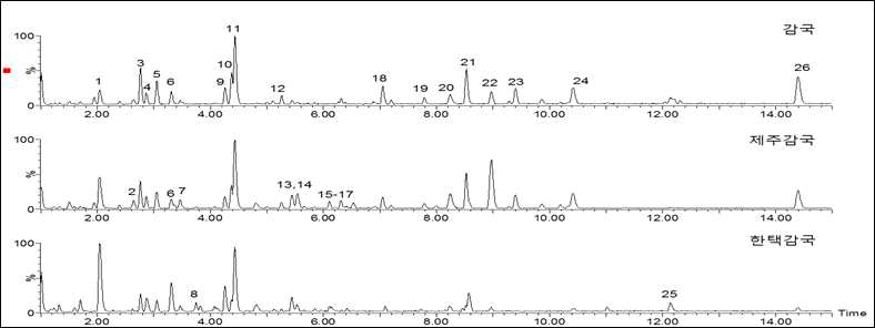 감국, 제주감국, 한택감국에 대한 UHPLC-QTOF-MS chromatogram
