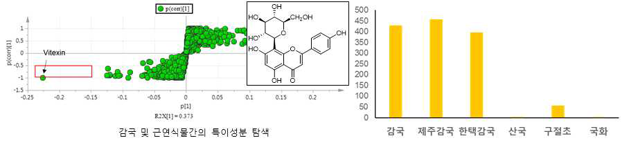 감국 3종의 기타 근연식물에 대한 특이성분 발굴 (vitexin) 및 relative intensity 비교