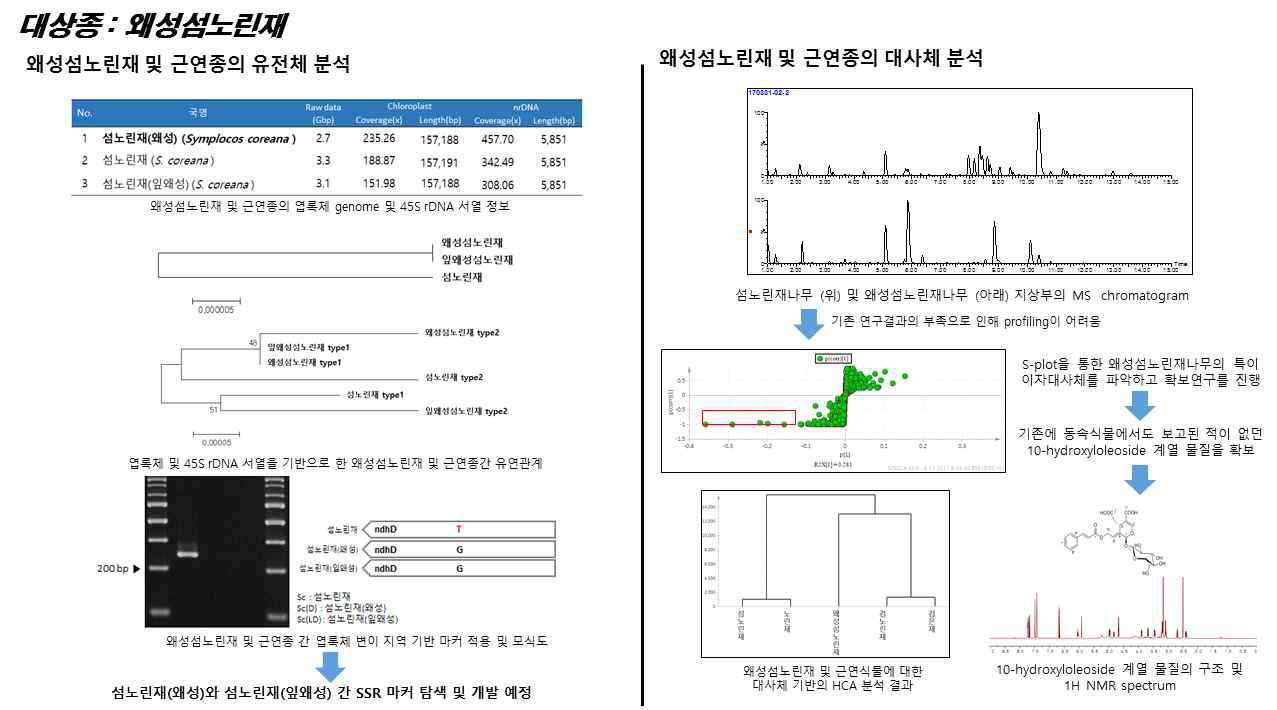 왜성섬노린재 및 근연종에 관한 유전체, 대사체 연구결과 개요