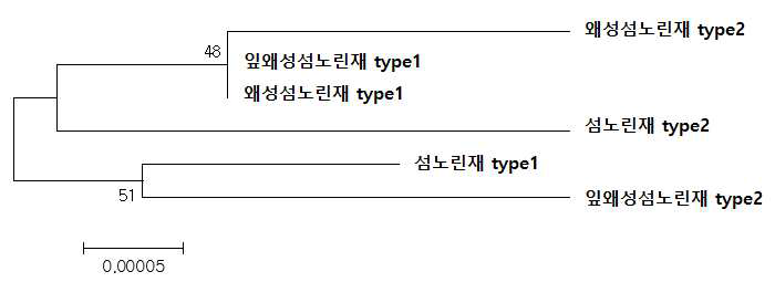 45S rDNA 서열을 기반으로 한 섬노린재 3종간 유연관계