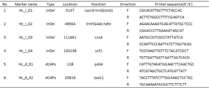 엽록체 염기서열 변이 기반하여 개발된 마커 정보