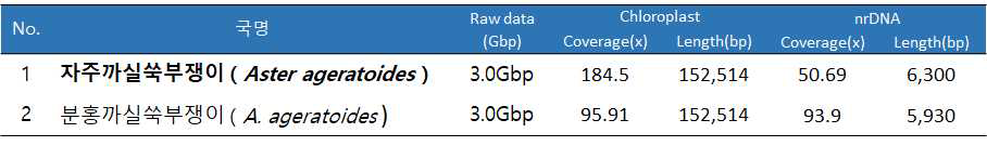 자주까실쑥부쟁이와 분홍까실쑥부쟁이의 엽록체 genome 및 45S rDNA 서열 정보