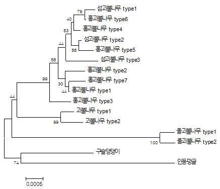 45S rDNA 서열을 기반으로 한 섬괴불나무 및 근연종간 유연관계