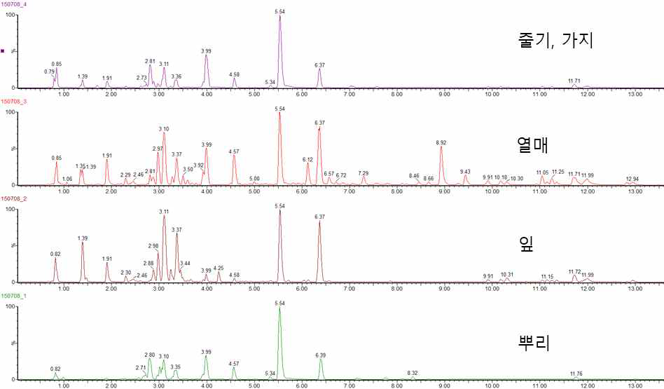 의성개나리의 부위별 MS 크로마토그램 비교