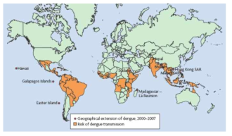 댕기열 감염 발생 가능 국가