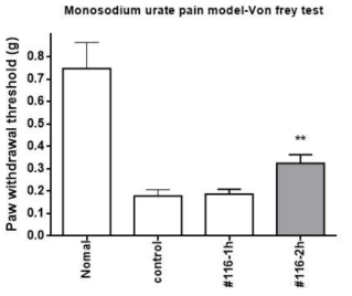 Monosodium urate 통증모델에서 116의 진통작용