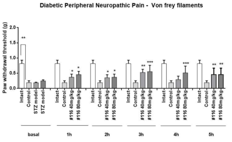 Diabetic 신경병증 모델에서 116의 진통작용