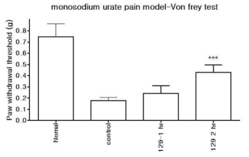 Monosodium urate 통증모델에서 129의 진통작용