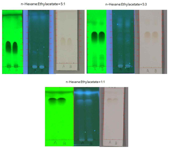 추출물의 박층크로마토그램(Thin Layer Chromatography, TLC)