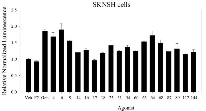 SKNSH cell에서 ER 효능제의 Ngb promoter activation 결과