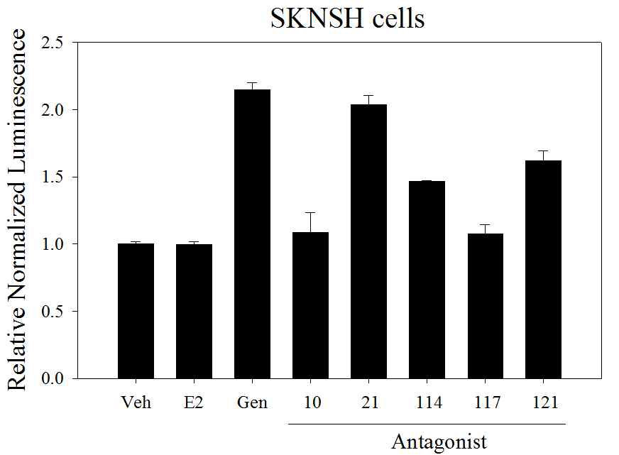 SKNSH cell에서 ER 길항제의 Ngb promoter activation 결과