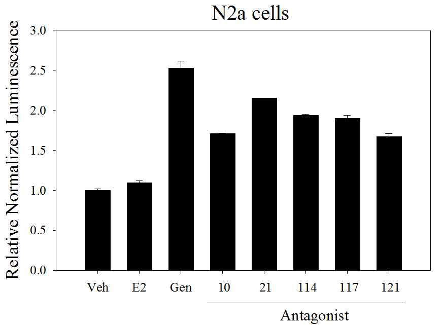 N2a cell에서 ER 길항제의 Ngb promoter activation 결과