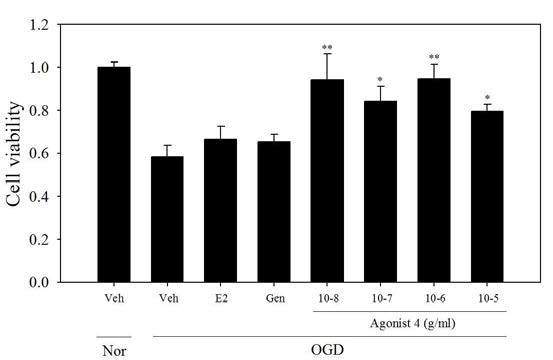 Ngb activator중 agonist 4 추출물의 세포 생존도 결과