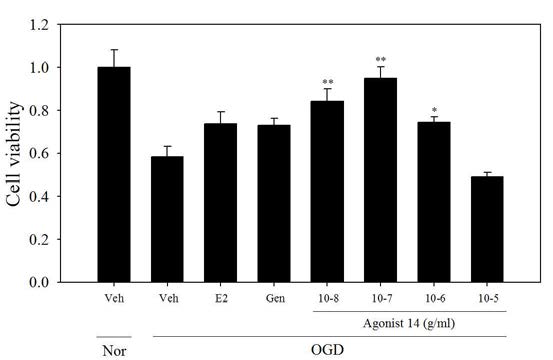 Ngb activator중 agonist 14 추출물의 세포 생존도 결과