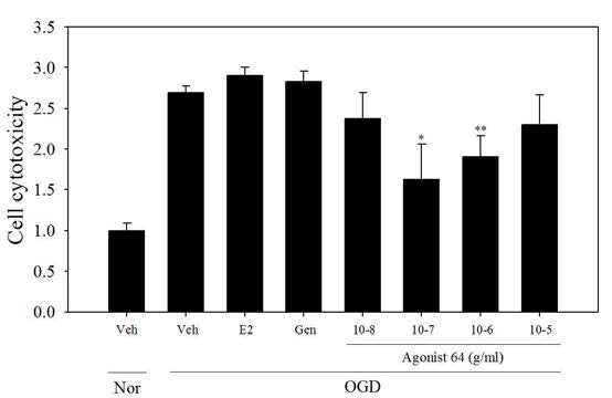 Ngb activator중 agonist 64 추출물의 세포 독성 보호 결과