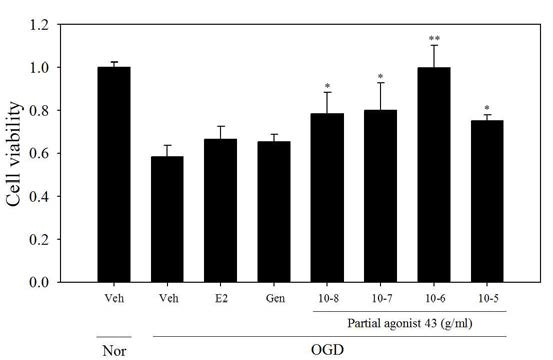 Ngb activator중 partial agonist 43 추출물의 세포 생존도 결과