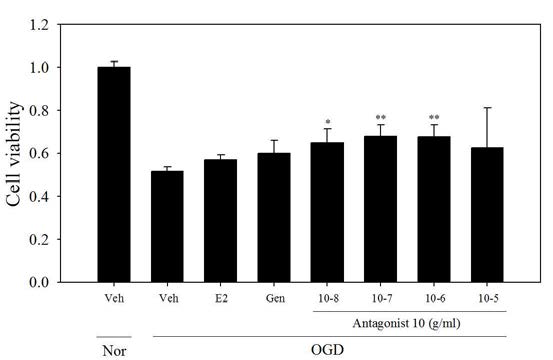 Ngb activator중 antagonist 10 추출물의 세포 생존도 결과