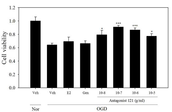 Ngb activator중 antagonist 121 추출물의 세포 생존도 결과