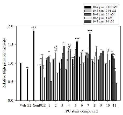SKNSH 세포에서 PC 줄기 추출물 유래 단일화합물에 의한 Ngb 전사활성 증가
