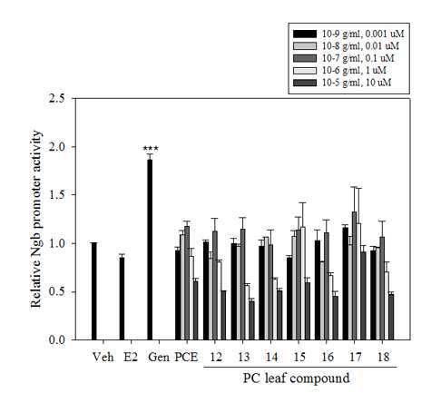 SKNSH 세포에서 PC 잎 추출물 유래 단일화합물에 의한 Ngb 전사활성 증가