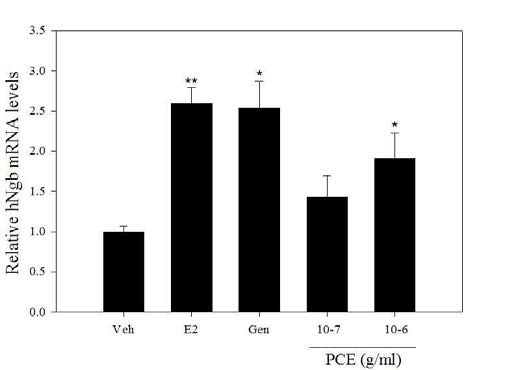 PC 추출물의 Ngb 유전자 발현효과