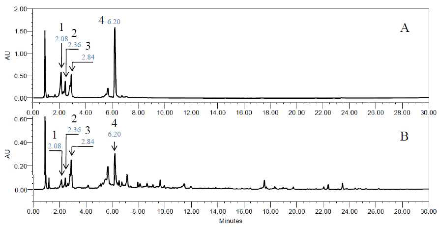 분리된 혼합물(A)과 MP 추출물(B)의 UPLC-TOFMS 프로파일