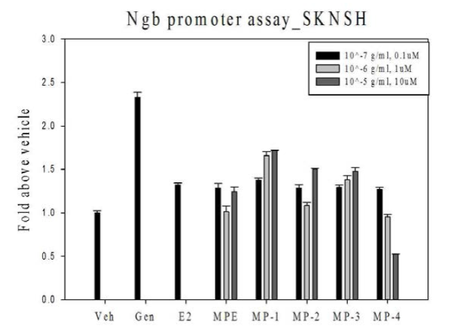 SKNSH 세포에서 MP 추출물과 단일화합물에 의한 Ngb 전사활성 증가