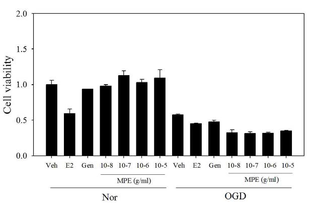 MP 추출물의 저산소조건에서의 primary neuron cell 생존도 결과