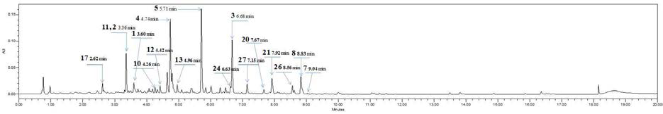 FS 추출물의 UPLC-TOFMS 프로파일