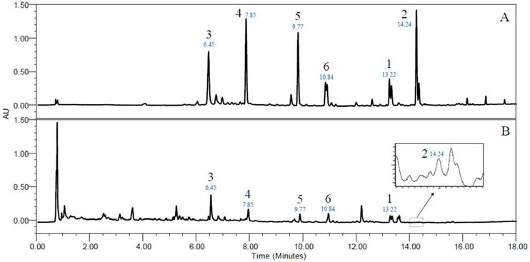 CC 추출물의 UPLC-TOFMS 프로파일