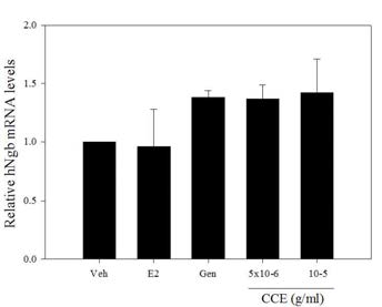 CC 추출물의 Ngb 유전자 발현효과