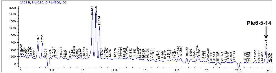 PA 추출물의 UPLC 프로파일