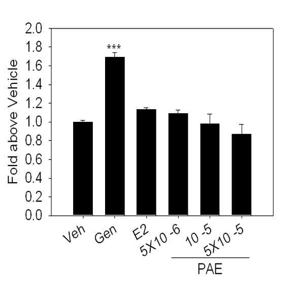 N2a 세포에서 PA 추출물에 의한 Ngb 전사활성 증가