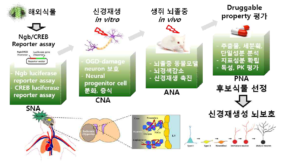 본 과제의 연구진행 추진전략 및 방법