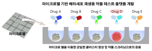 마이크로웰 기반 베타세포 재생용 약물 스크리닝 플랫폼