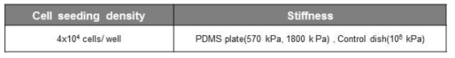 세포 배양시 바닥면의 연성도를 조절하는 조건